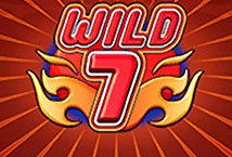 Wild 7